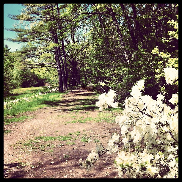 Western Massachusetts neighborhood community feel